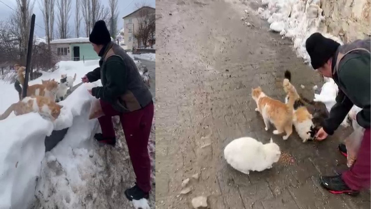 İstanbul’dan Diyarbakır’a hayvanları beslemeye geliyor