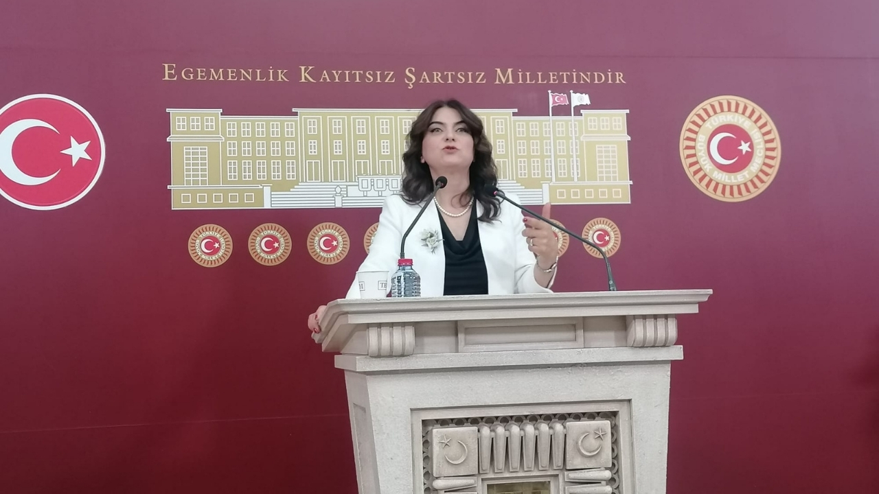 Koçyiğit: Raporda inkarcı anlayışla hareket edilmemeli