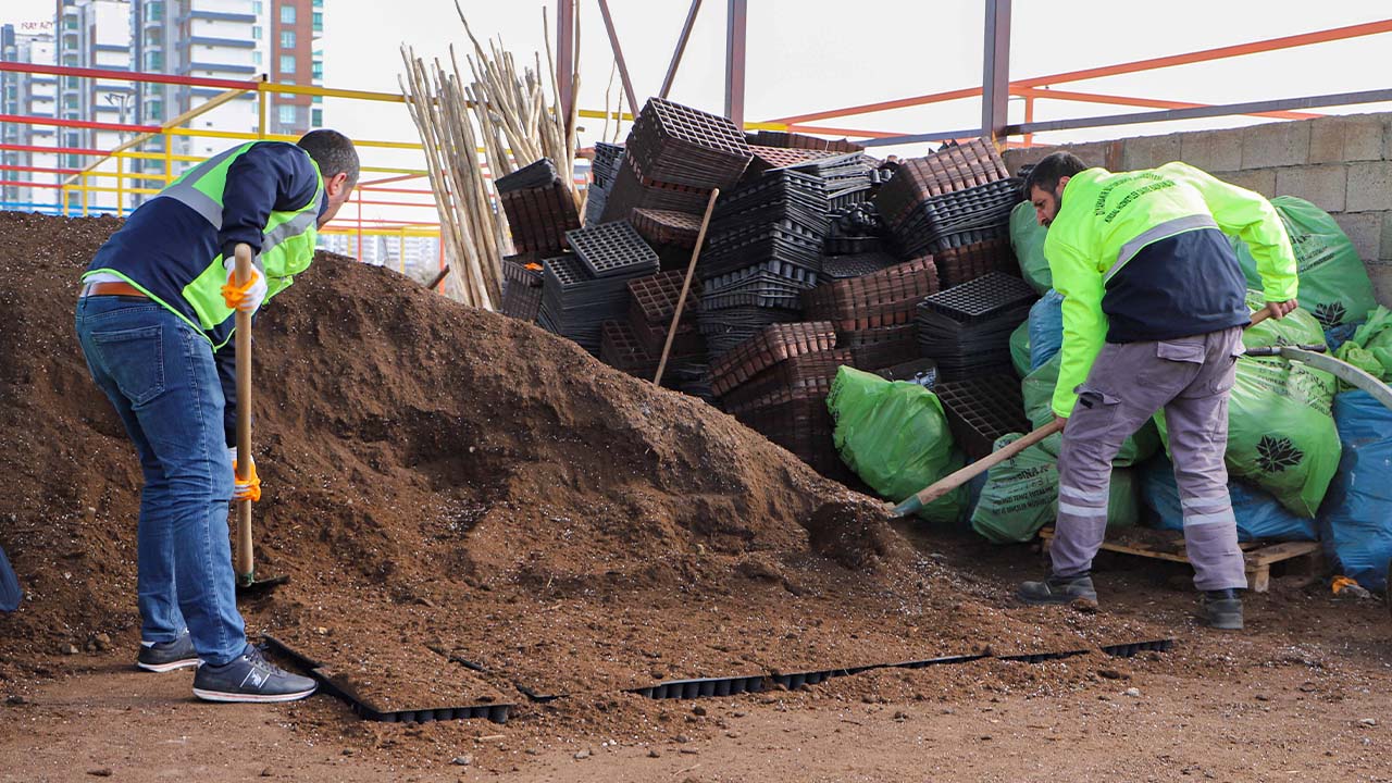 Diyarbakır’da yerli tohumdan 300 bin fide dağıtılacak