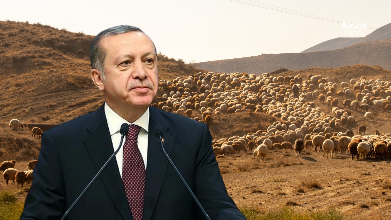 Van, Urfa ve Diyarbakır’ın gözü Cumhurbaşkanı’nda