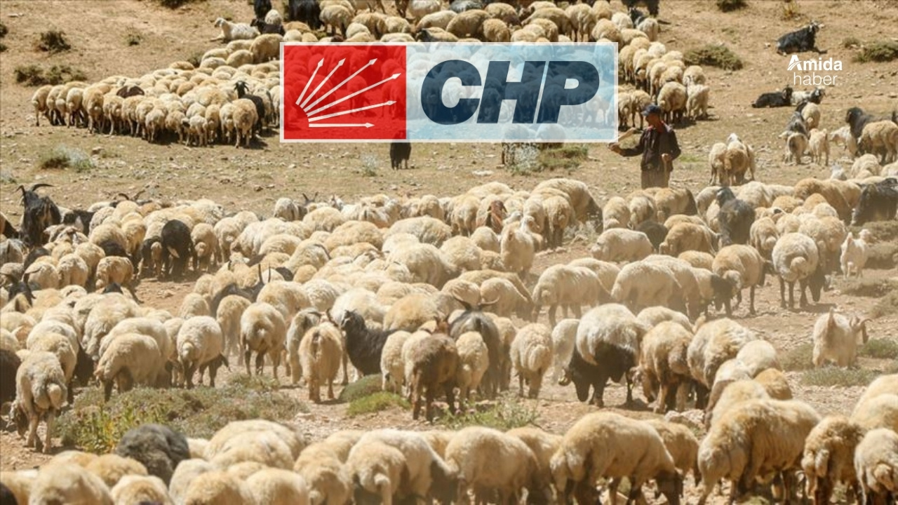 CHP’li isimden Kars, Ağrı ve Van çağrısı: 150 bin yetmez