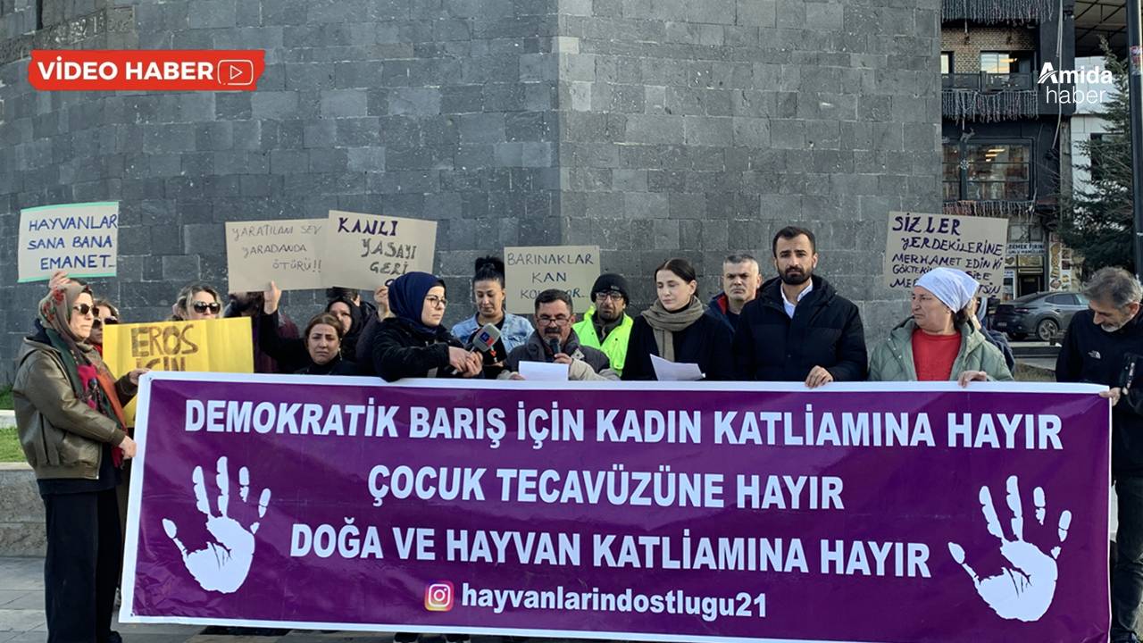 Diyarbakır’dan çağrı: Öfkenizi hayvanlardan çıkarmayın