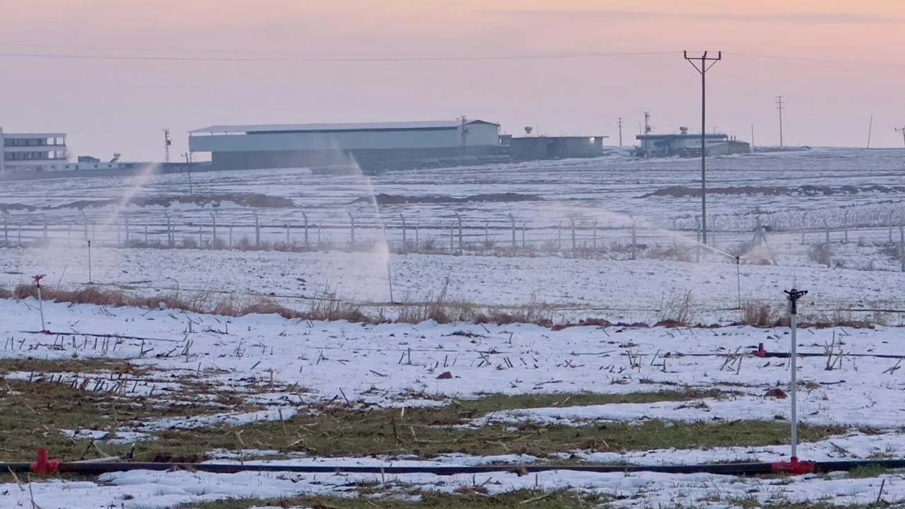 Şanlıurfa’da karda sulama: Trafoya el konuldu