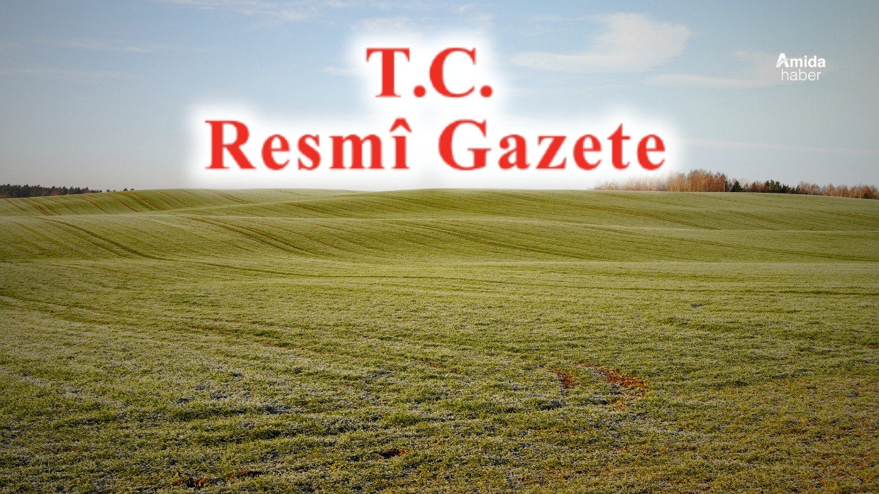 Projelerde “ÇED Gerekli Değildir” kaldırıldı: 3 seçenek geldi