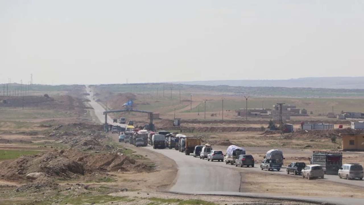 Afrinliler 8 yıl sonra zeytin ağaçlarına kavuştu