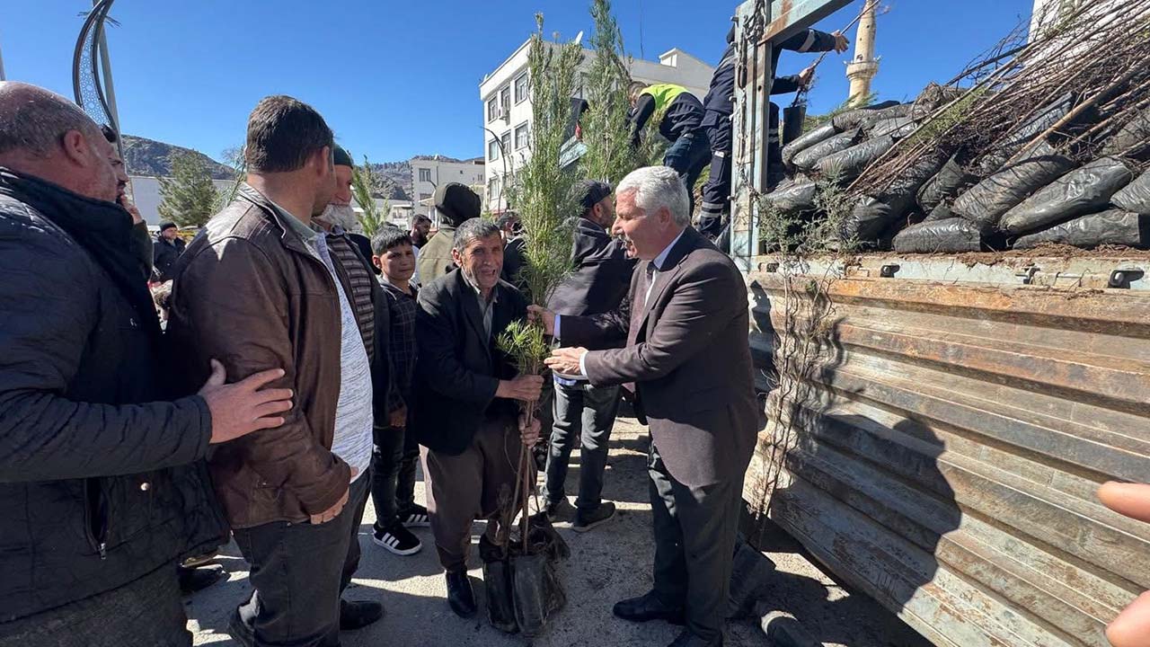 Diyarbakır’da çiftçilere 10 bin adet fidan desteği