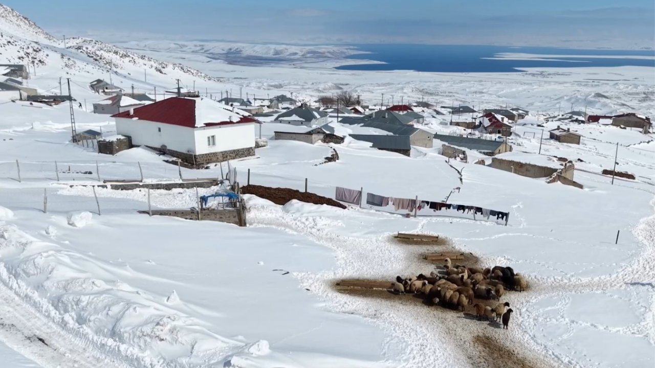 Süphan’ın eteğinde besicilerin zorlu kış mesaisi
