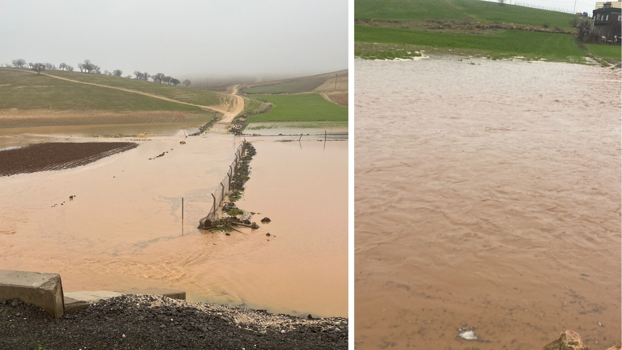 Diyarbakır’da sağanak nedeni ile onlarca koyun öldü