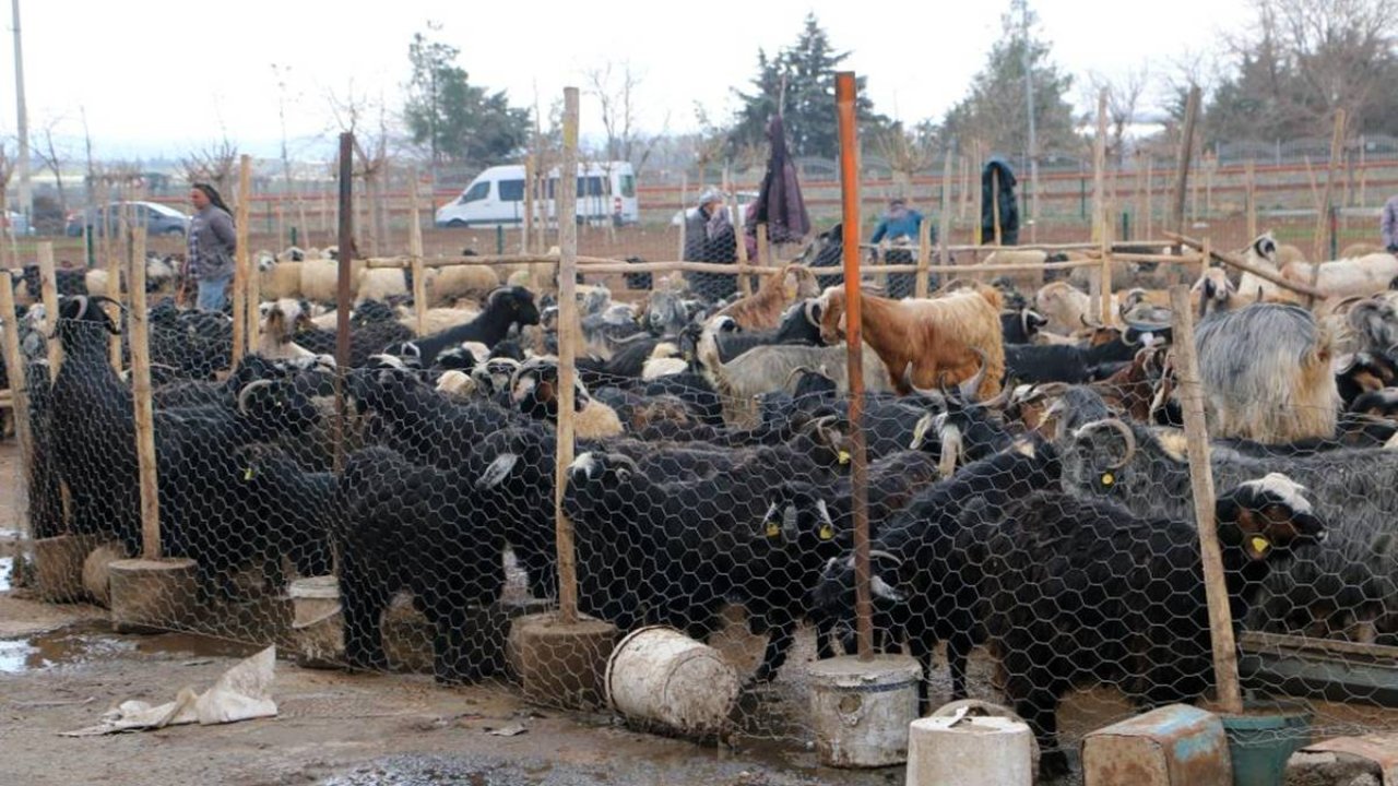 Diyarbakır’daki pazarda bayram yoğunluğu