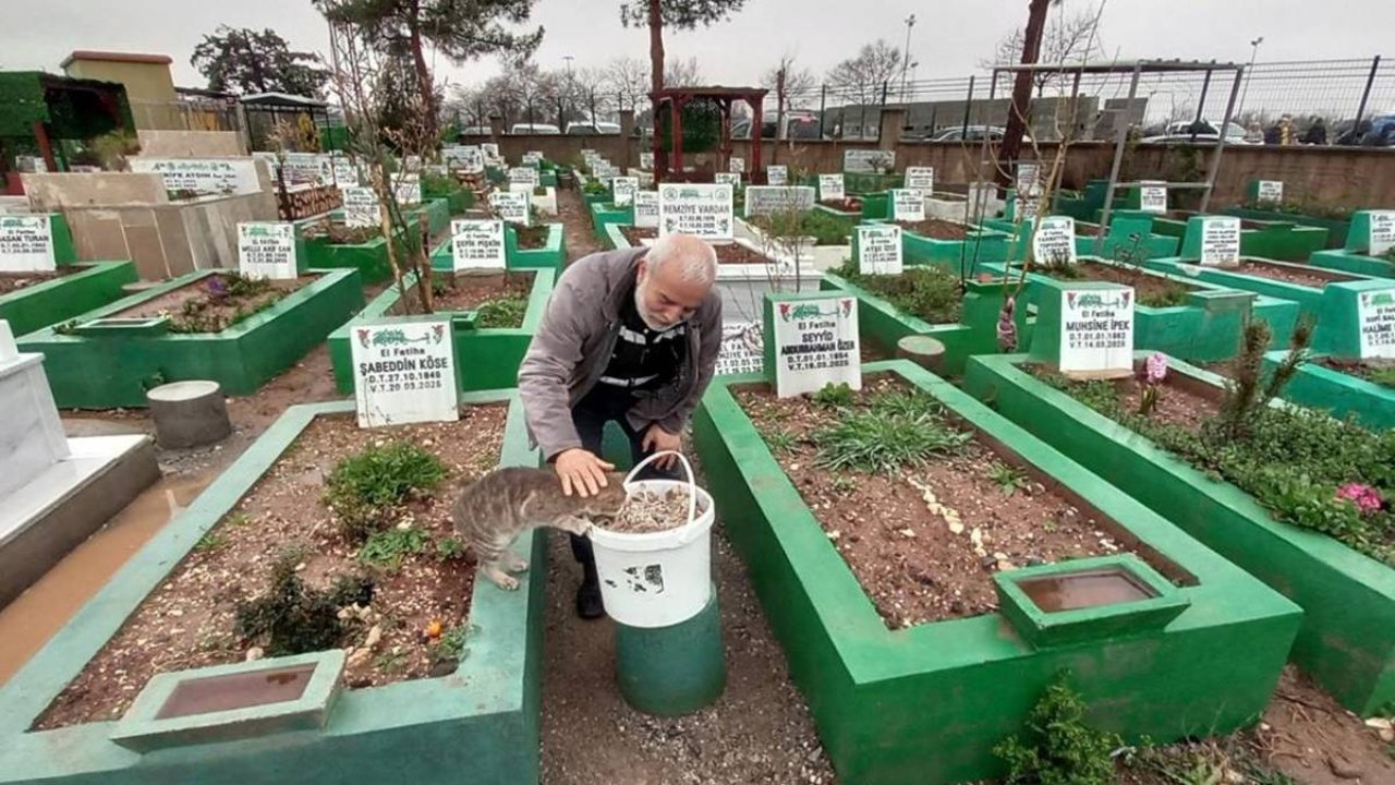 Diyarbakır’da bayram sabahı sokak hayvanlarını unutmanı