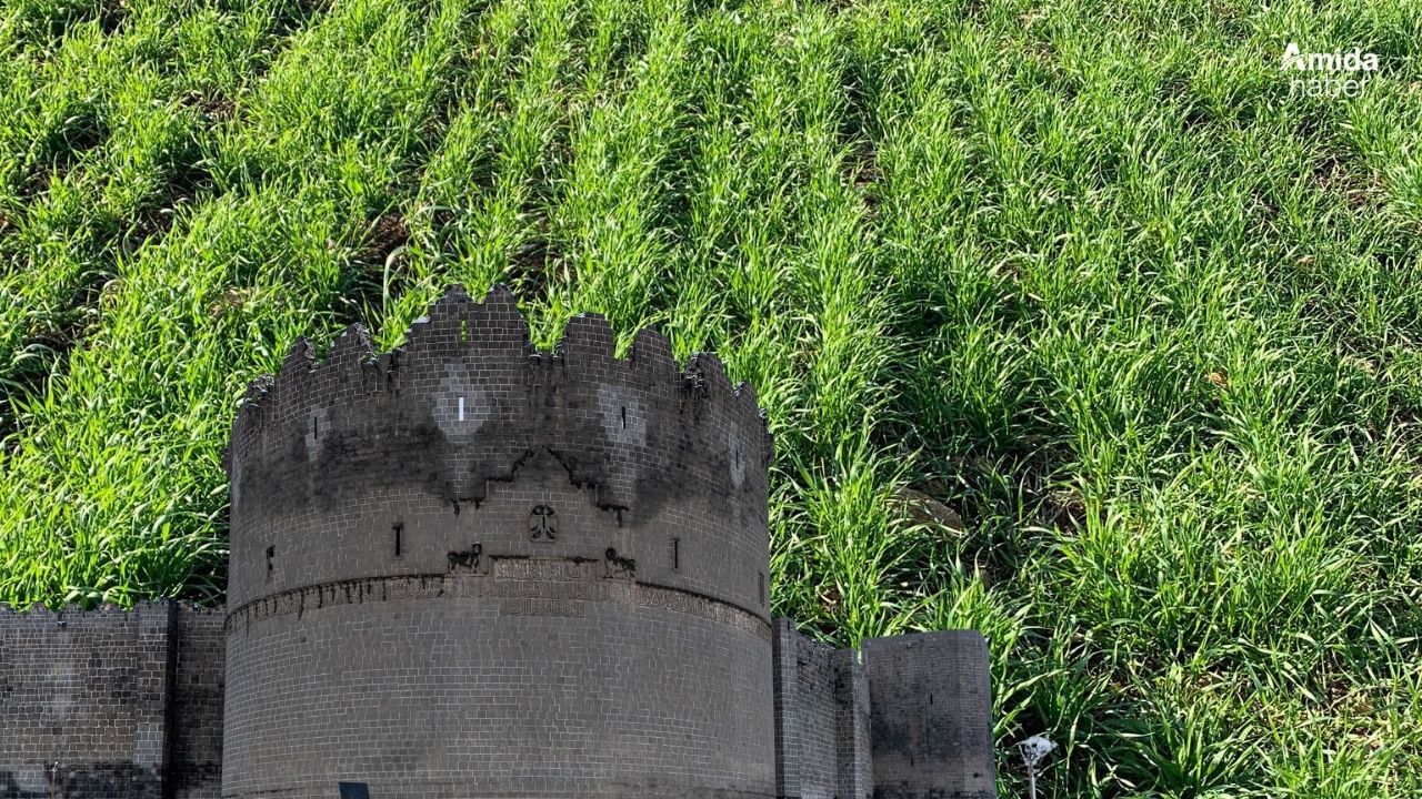 Diyarbakırlı başkan müjdeyi verdi: Rekolte 700 kiloya çıkacak