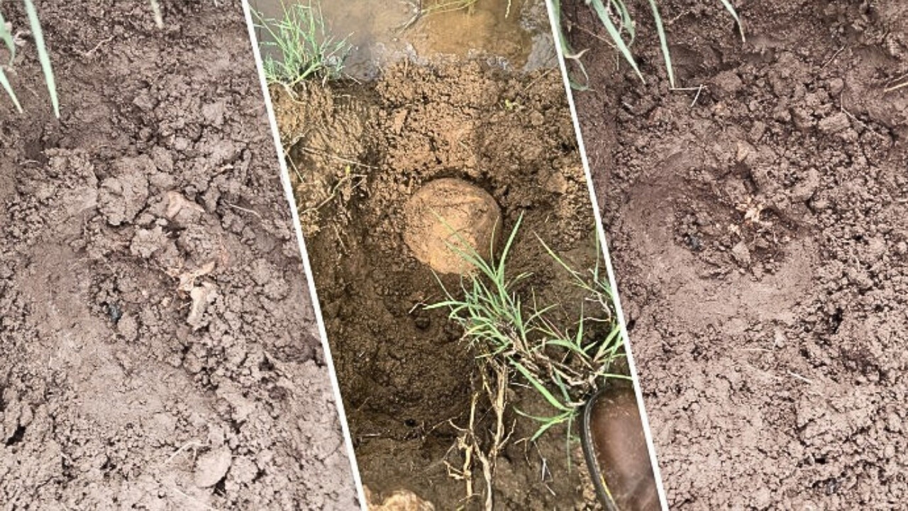 Diyarbakır’da bulunan kemiklerin kime ait olduğu belirlendi