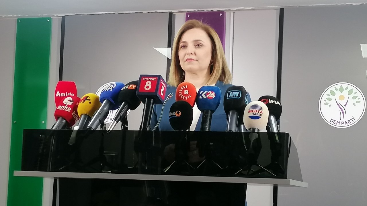 Doğan: Gözaltılar süreci provoke ediyor