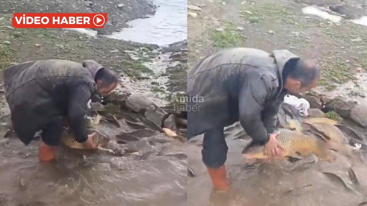 Diyarbakır’da suya girmeden kilolarca balık yakaladı