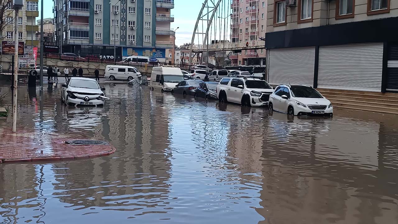 Batman göl oldu: DEM’li vekil kayyımı topa tuttu