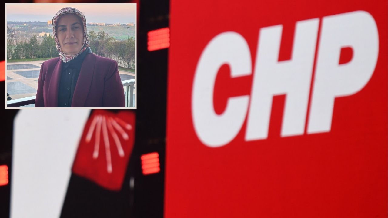 CHP’li Erdoğan’dan anadilde eğitim çıkışı