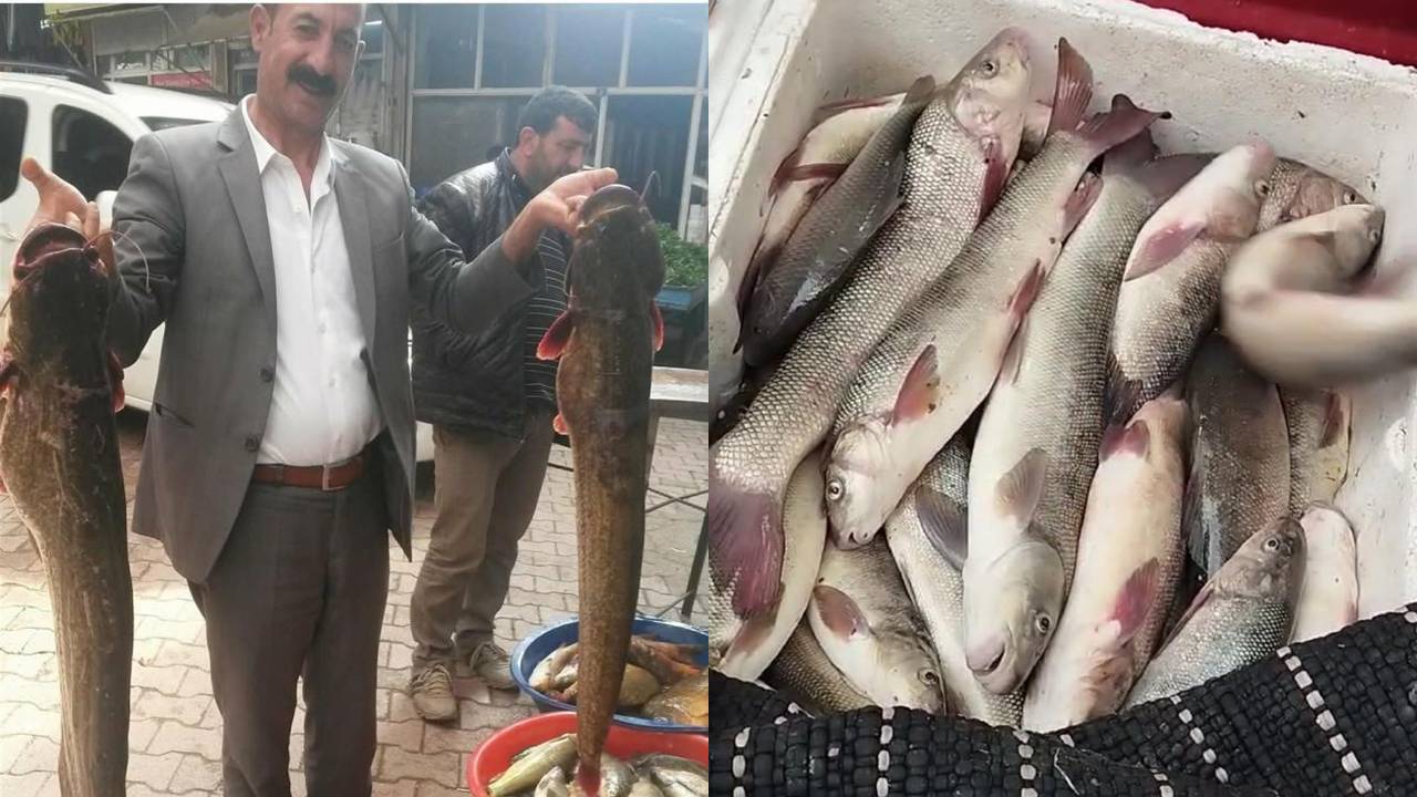 Diyarbakır’da bugünden itibaren avlanmak yasak