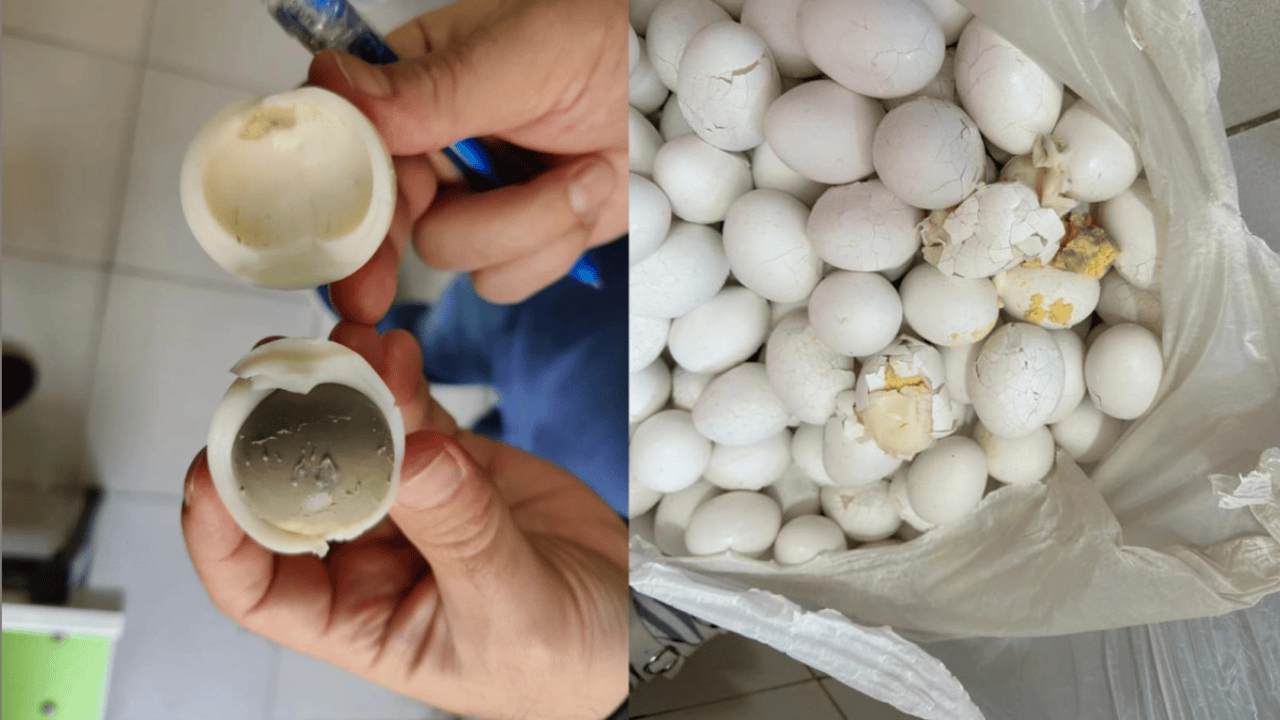 Diyarbakır’da anaokulunda kahvaltı: Kırık, ezik, yeşermiş yumurta!