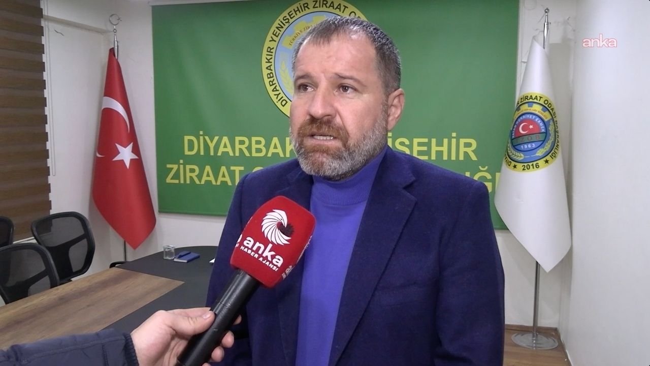 Maliyetler uçtu,  TMO yüzde 5 zam verdi: Diyarbakır’da mısır üreticisi isyanda