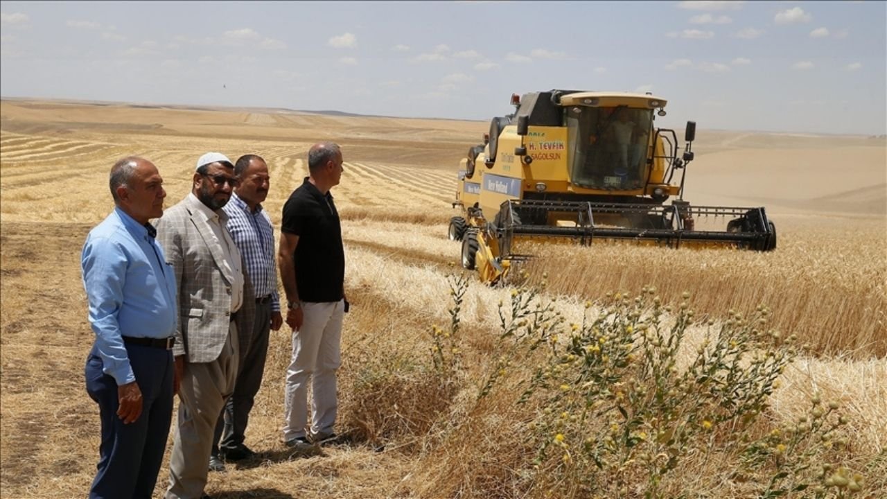 Diyarbakır'da barış yemeğinde kavga: 4 kişi tutuklandı
