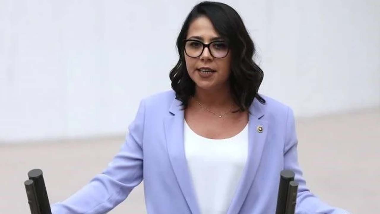 TİP’li Kadıgil: İstanbul’un tamamında vekil çıkaracağız