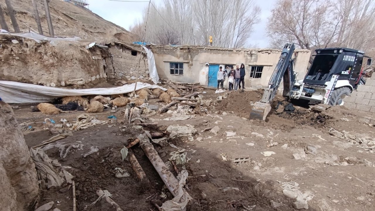 Van’da deprem sonrası ahırlar çöktü: Onlarca hayvan öldü