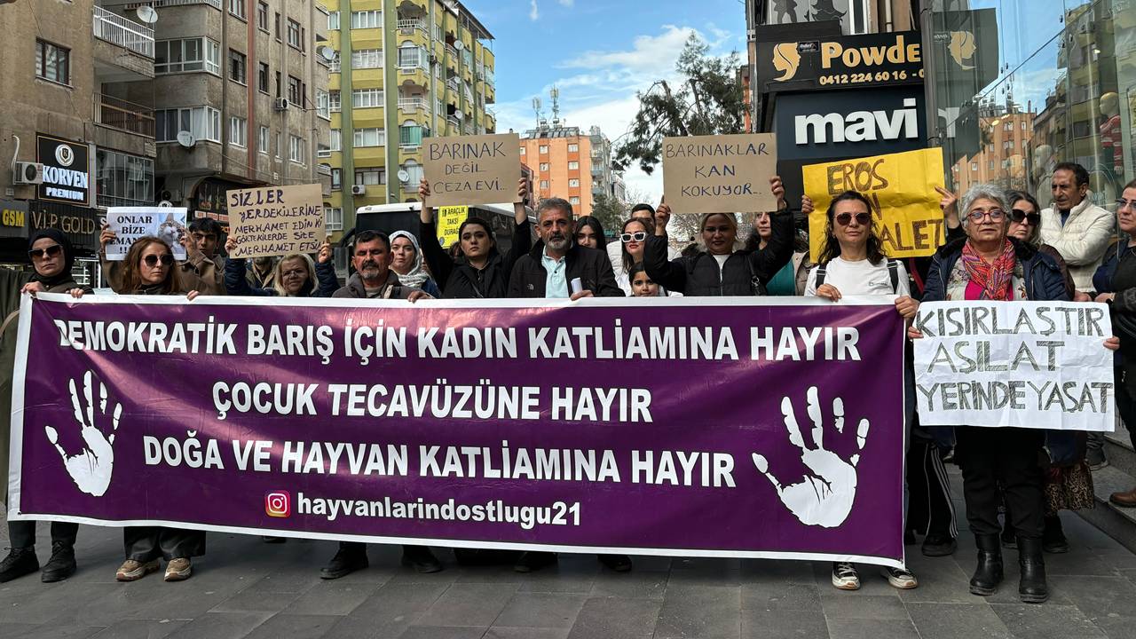 Diyarbakır’dan çağrı: Barınaklar ölüm kampına dönüşmesin