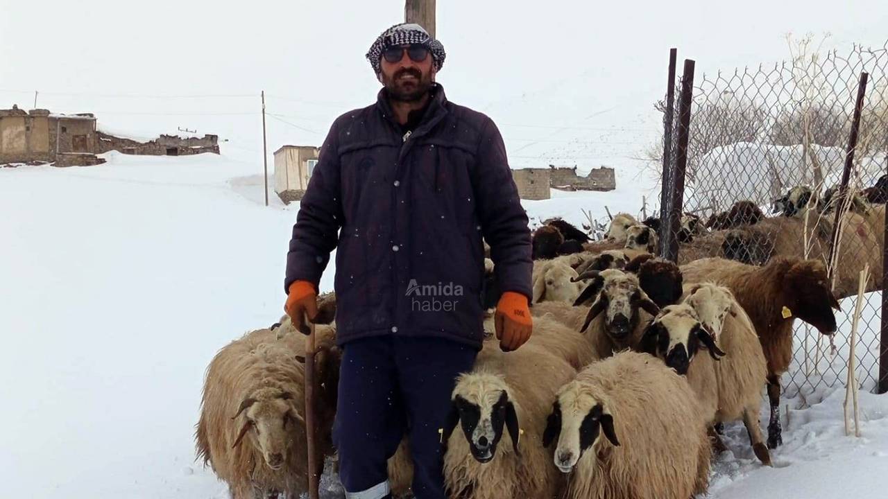 ‘Doğu’da mera krizi: Kar kalkmadı, yem bitti!