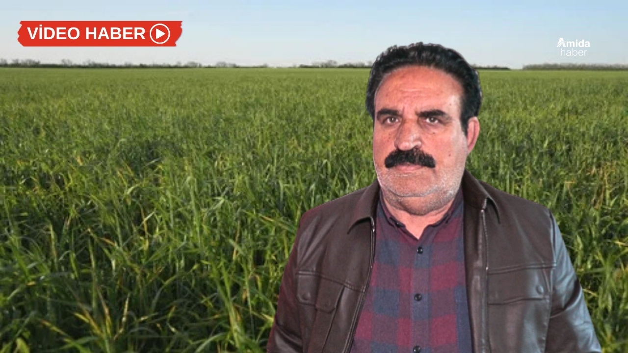 Diyarbakır’da husumet tarlaya sıçradı: Zehir attılar