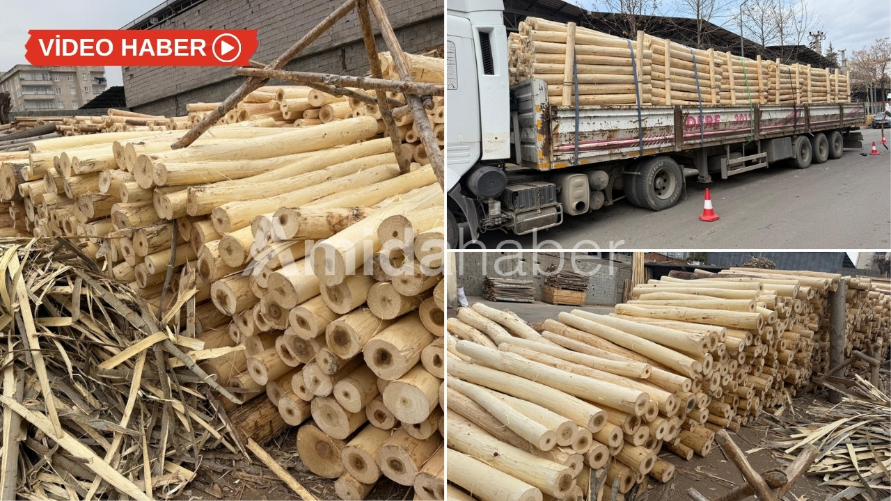 Diyarbakır’dan Ankara’ya rapor: Dağlarımız çıplak!