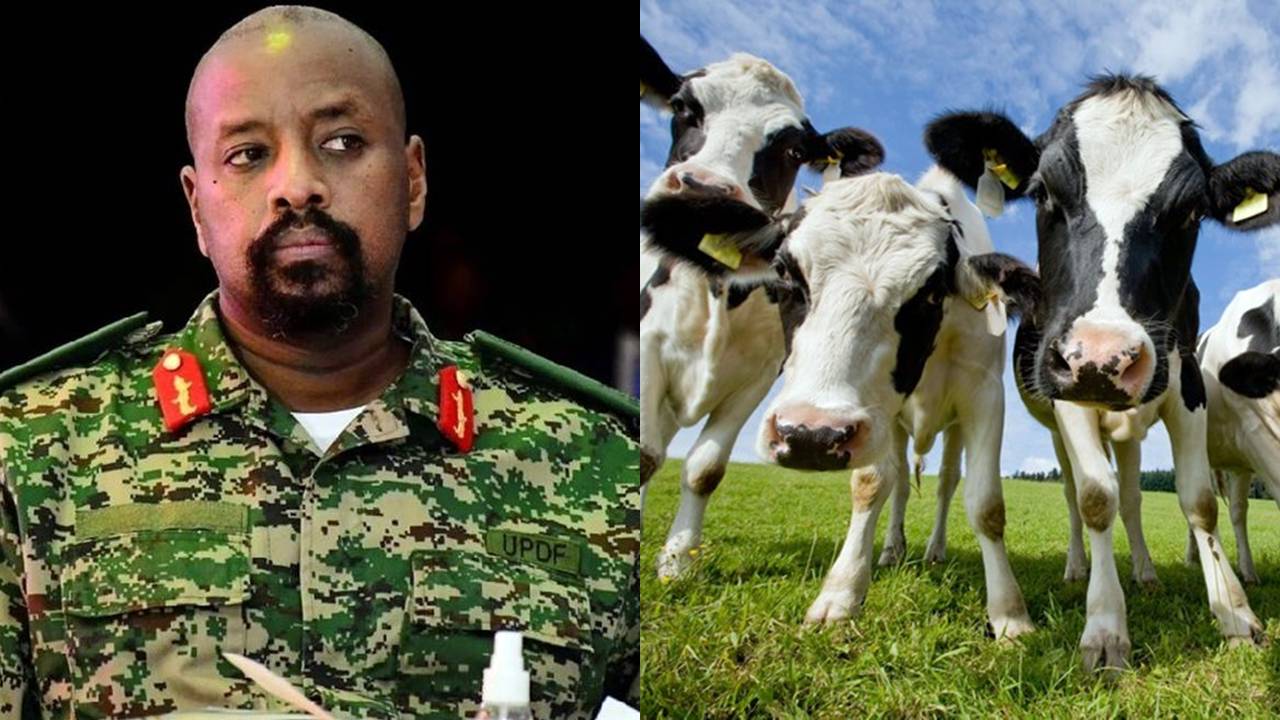 Ugandalı komutandan sıra dışı çıkışlar: ‘100 İnekli’ evlilik teklifi