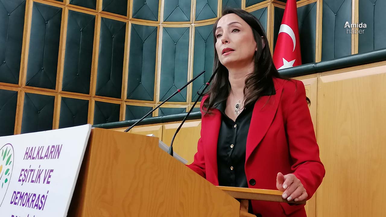 DEM Parti’den kayyım ve süreç çağrısı