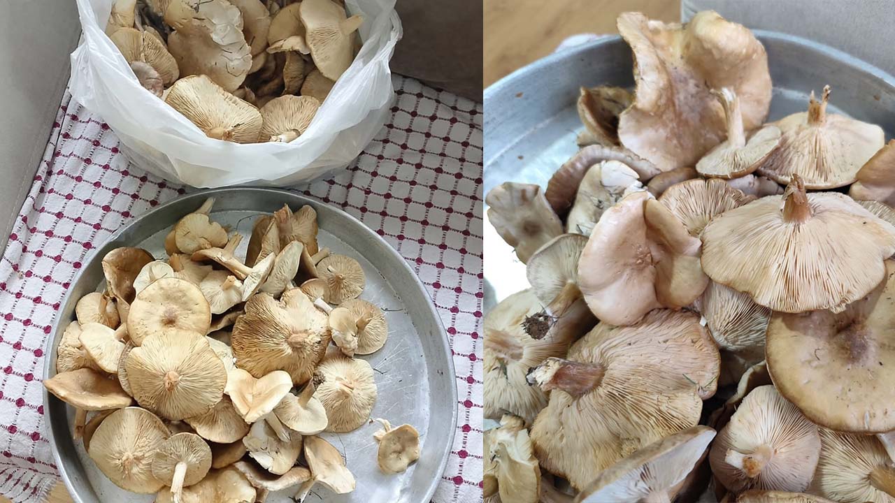 Diyarbakır’da doğal lezzet sofralarda