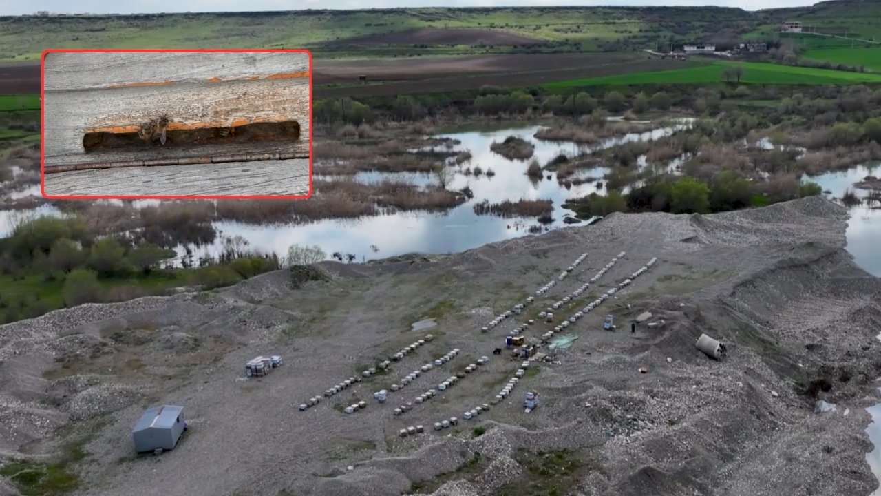 Doğa canlandı: Diyarbakır’a bal akacak