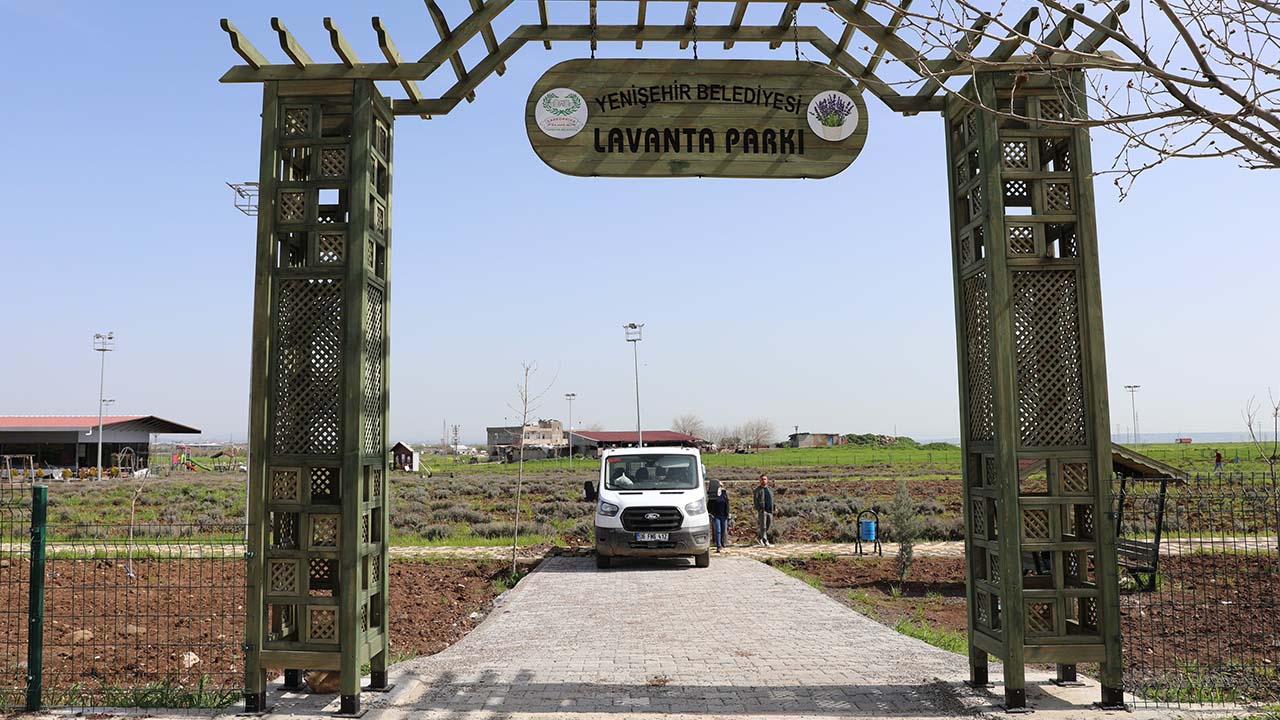 Diyarbakır’daki Lavanta Parkı mis gibi kokacak