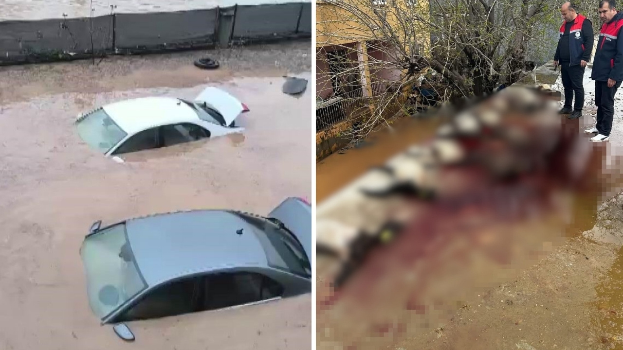 Siirt’te sel felaketi: Araçlar suda kaldı, onlarca hayvan öldü