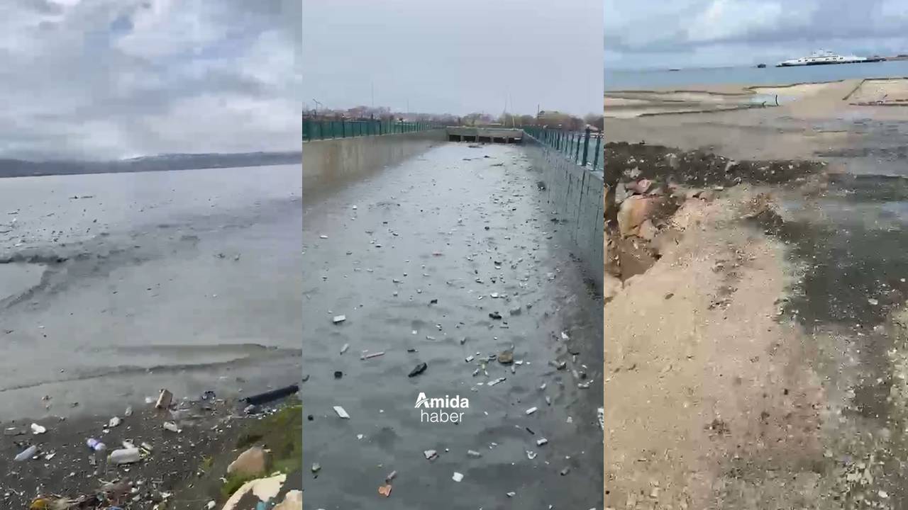 Van Gölü ‘imdat’ diyor: Atık doldu