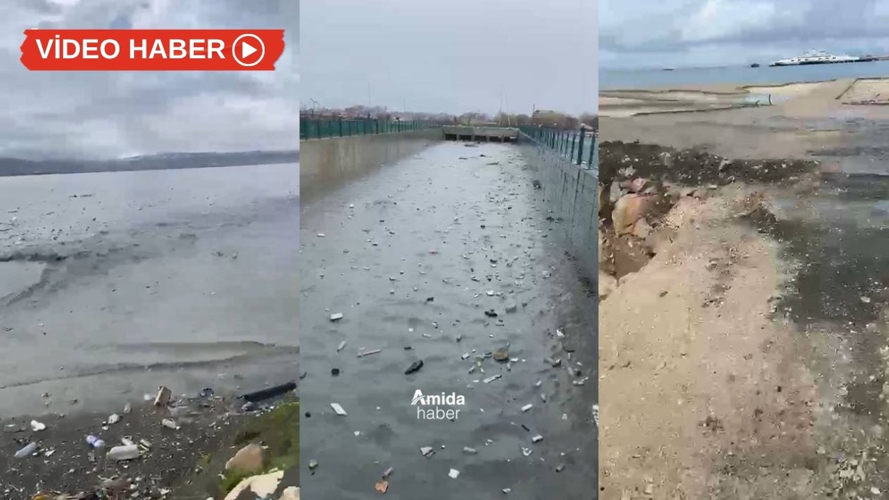 Van Gölü ‘imdat’ diyor: Atık doldu