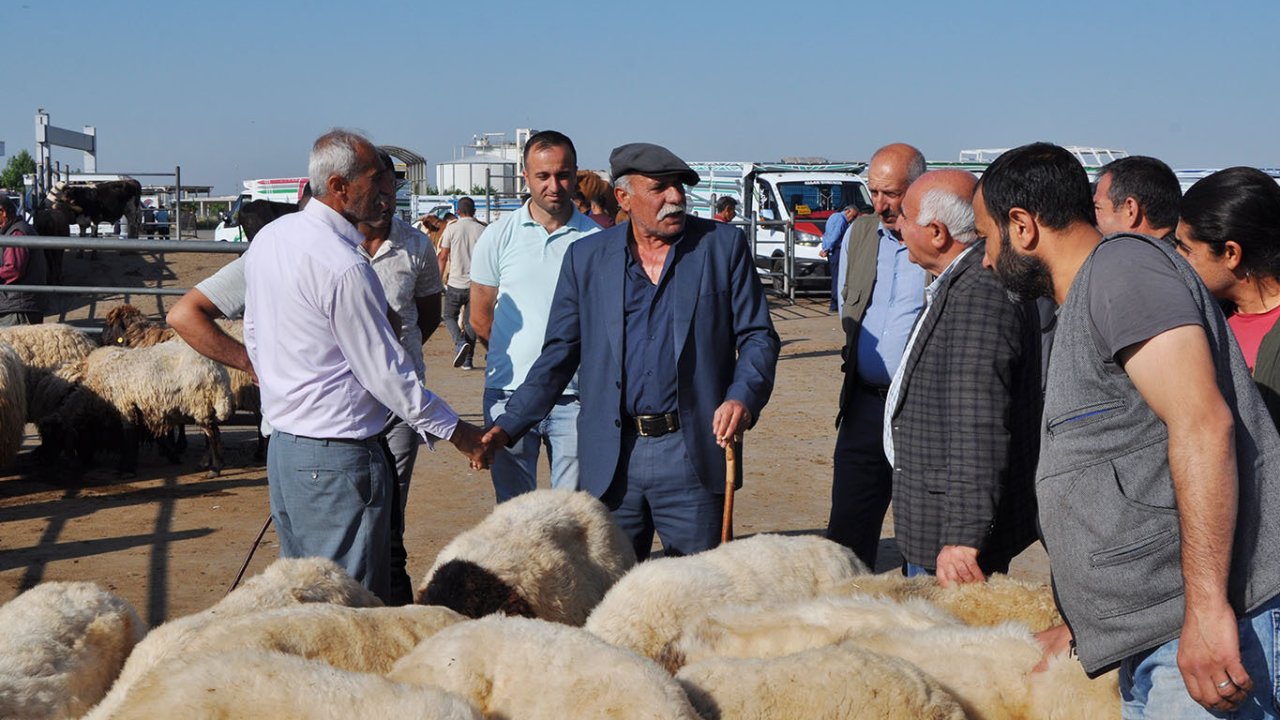 Diyarbakır'da kurban hazırlığı: Vekaletle kurban bedeline zam