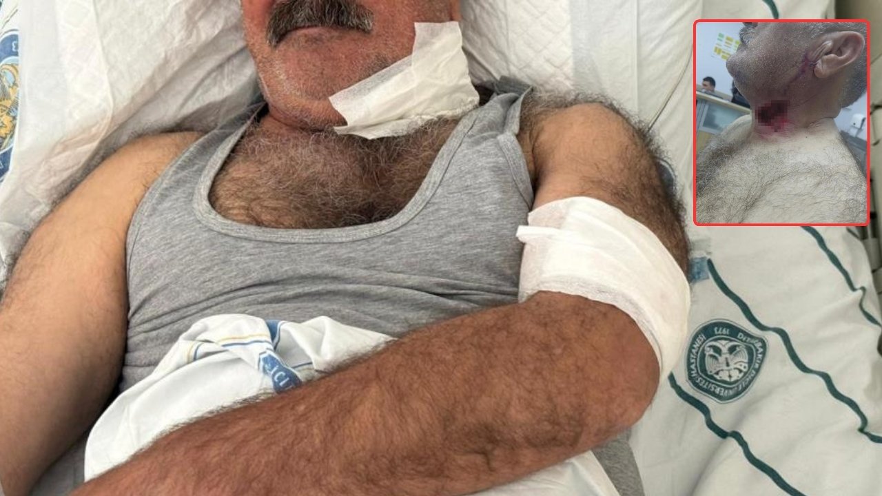 Diyarbakır’da atın ısırdığı kişi tedavi altına alındı