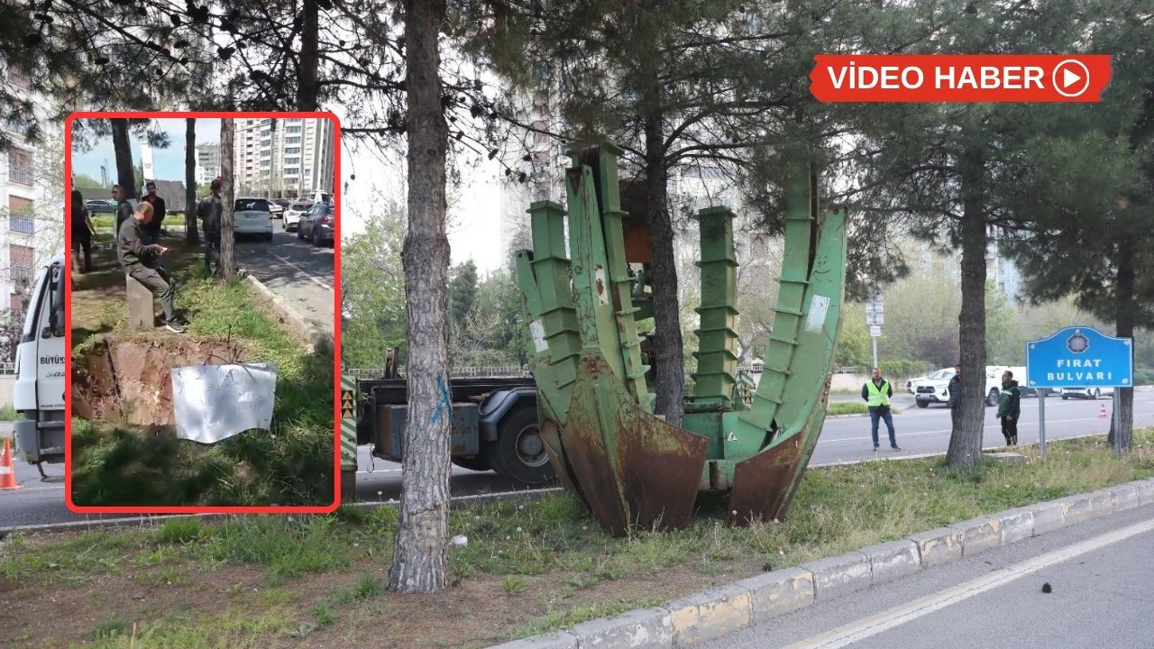Diyarbakır’da ağaç protestosu: Belediyeden açıklama