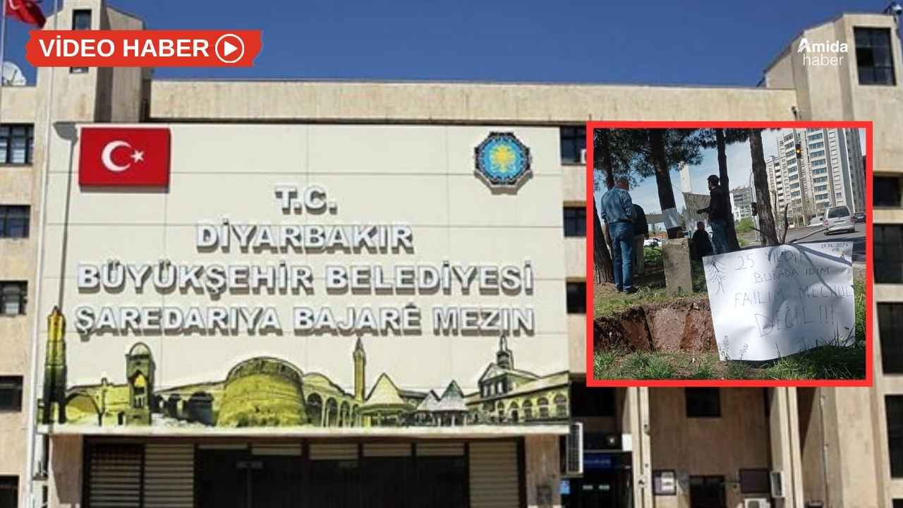 Diyarbakır’da ‘ağaç’ krizi: Büyükşehir’den yeni açıklama