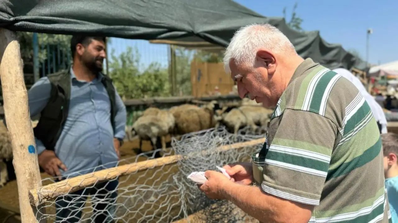 Kurban bağışında dolandırıcılık tuzağı: Bağışçılar hedefte