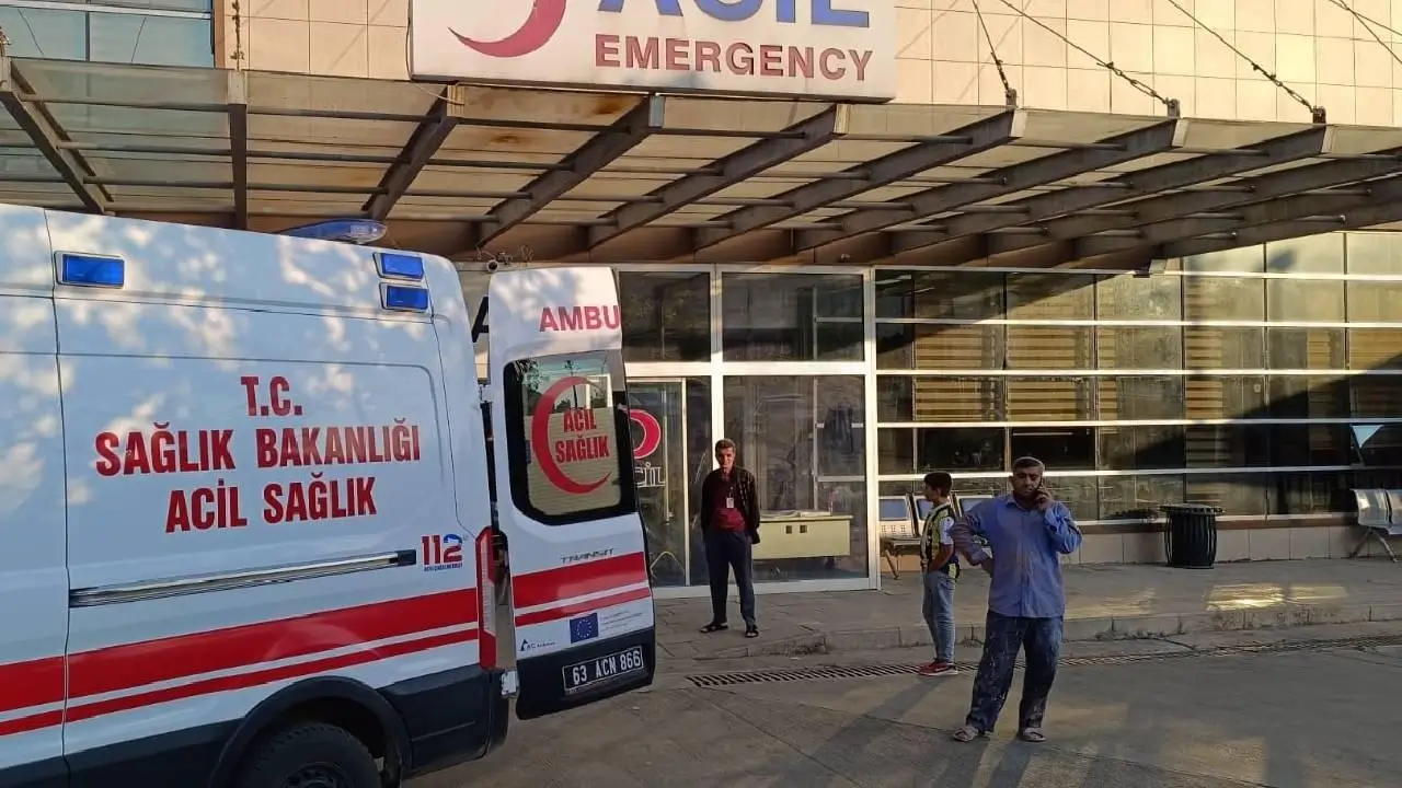 Sahipsiz köpek 70 yaşındaki adama saldırdı