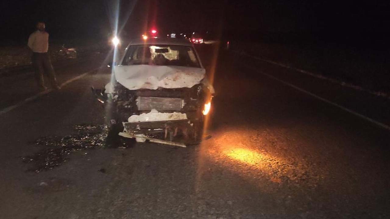 Otomobil sürüye daldı: 40 koyun öldü, 2 kişi yaralandı