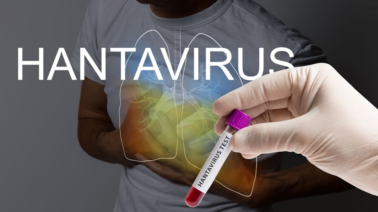 Hantavirüsü Covid gibi pandemi yaratır mı? Diyarbakırlı hekimden açıklama