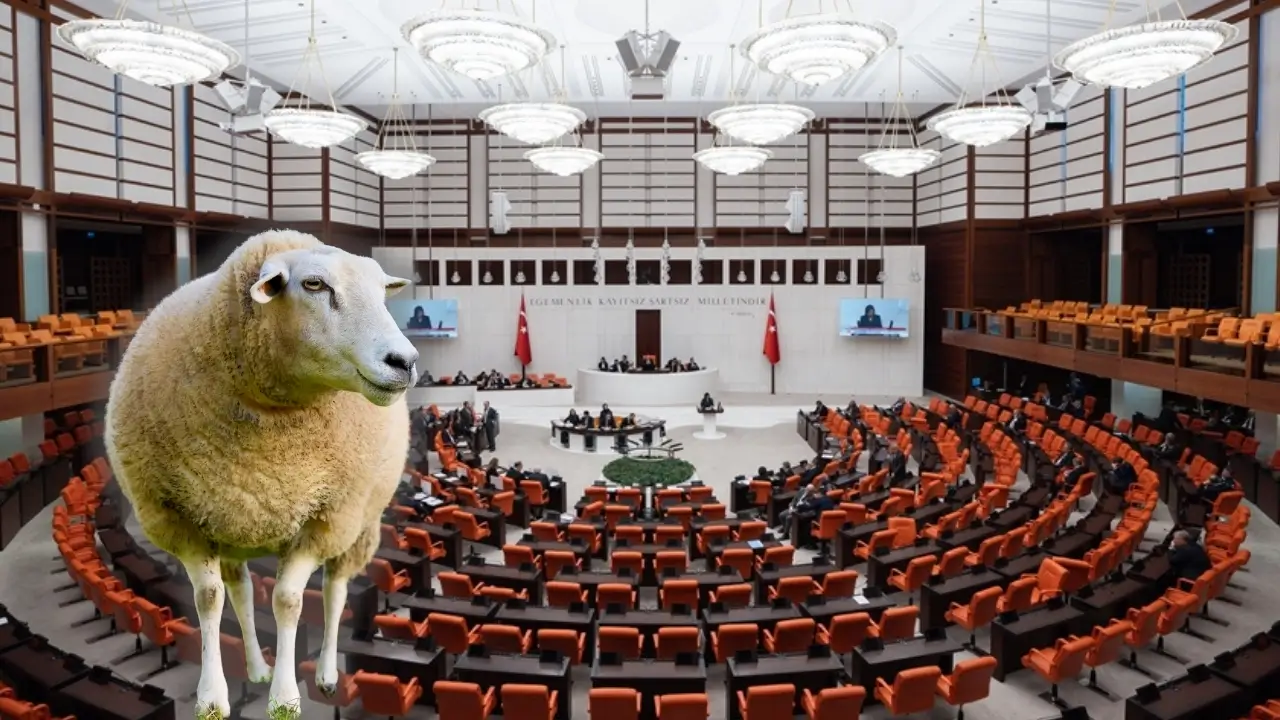 Diyarbakır vekili kurbanlık fiyatlarını Meclis’e taşıdı