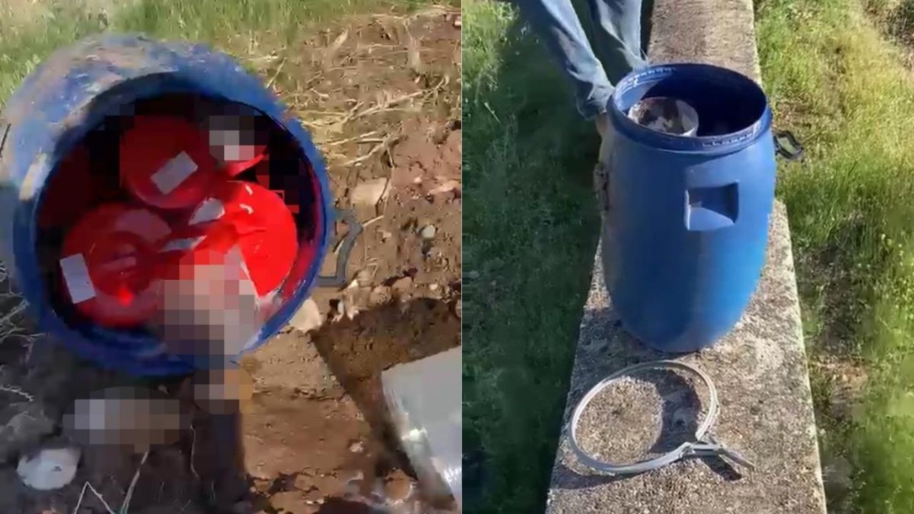 Mezarlıktaki bidondan ceninler çıktı