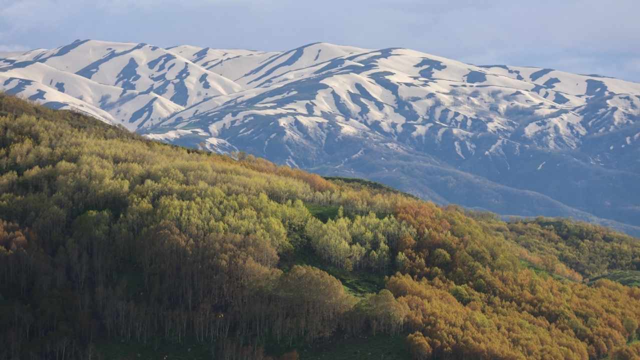Muş’tan kartpostallık görüntüler