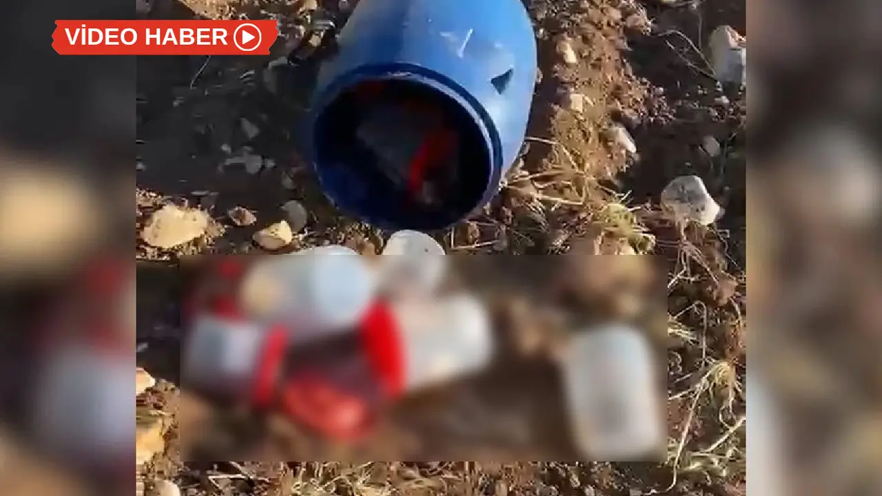 Şanlıurfa’da cenin skandalında ‘kozmetik’ şüphesi: Neden ailelere verilmedi?